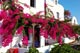 Anna Traditional Apartments