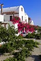 Anna Traditional Apartments
