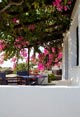 Anna Traditional Apartments